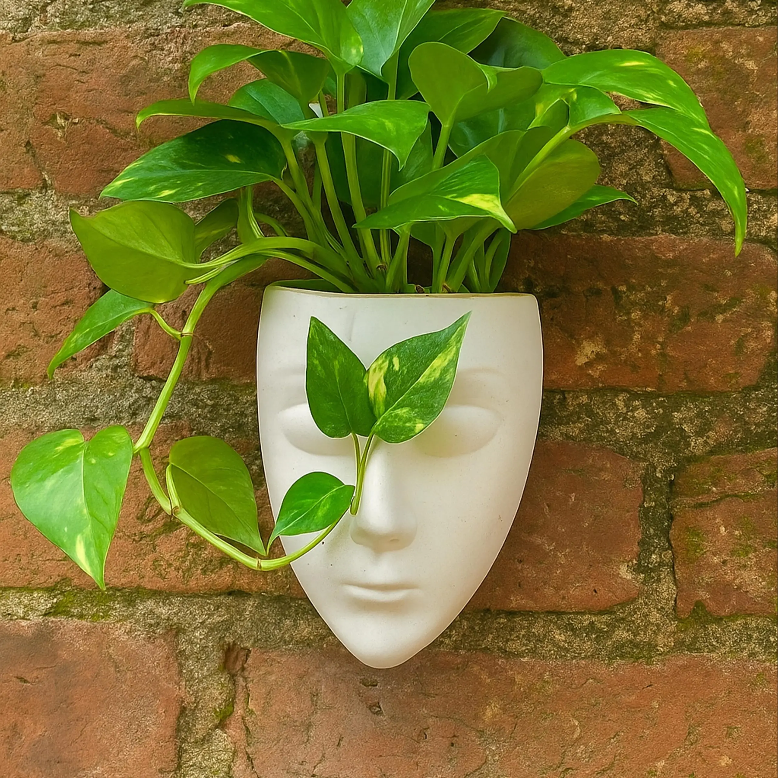 Ceramic Face Planter