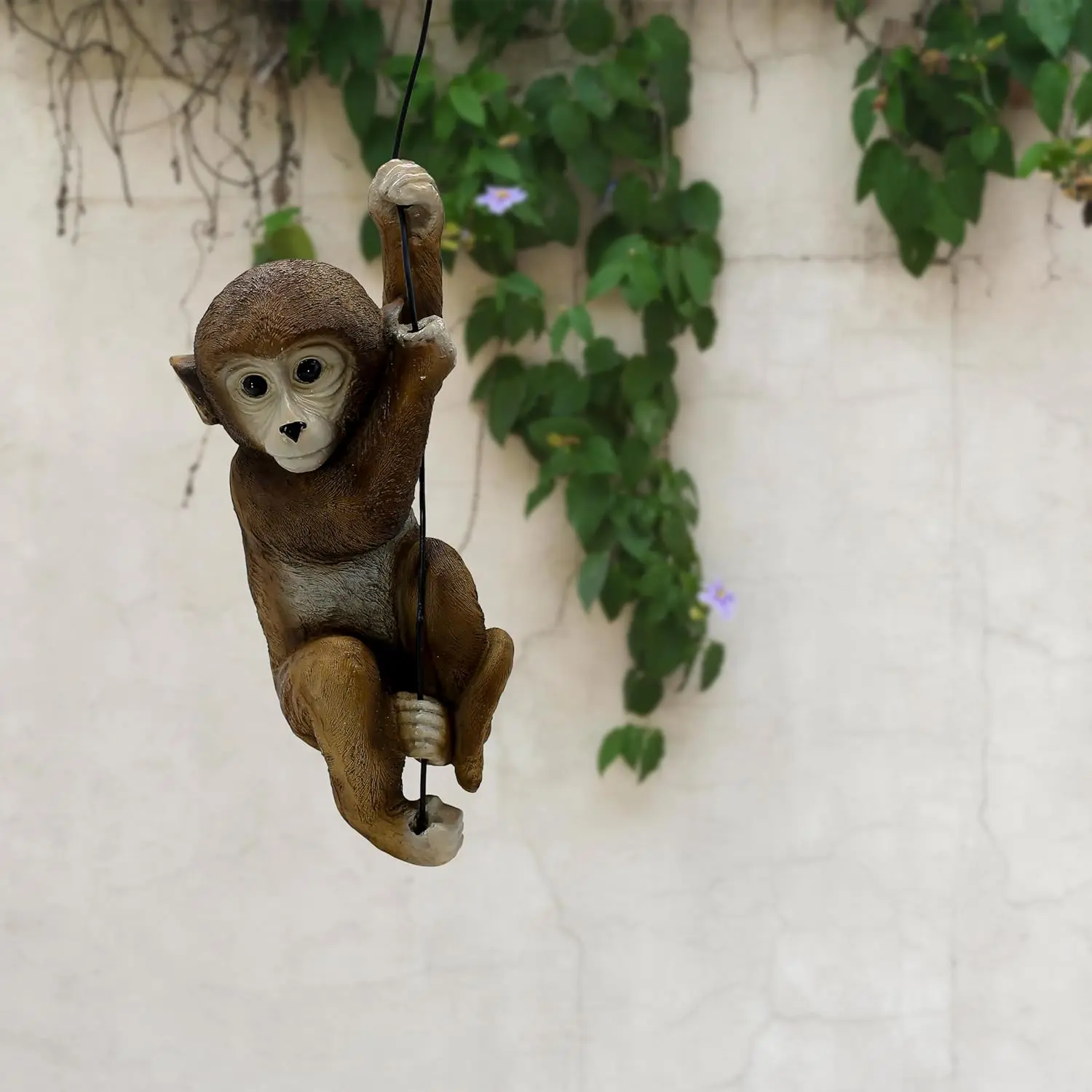 Hanging Monkey